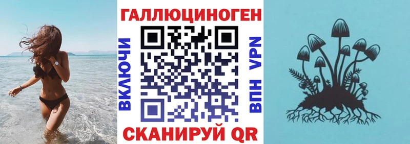 Псилоцибиновые грибы прущие грибы  Агрыз 